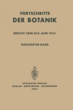 Bericht UEber Das Jahr 1954