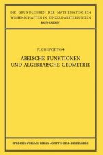 Abelsche Funktionen Und Algebraische Geometrie