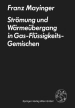 Stroemung Und Warmeubergang in Gas-Flussigkeits-Gemischen