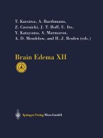 Brain Edema XII