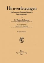 Hirnverletzungen