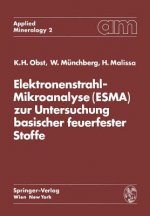 Elektronenstrahl-Mikroanalyse (Esma) Zur Untersuchung Basischer Feuerfester Stoffe