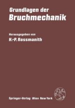 Grundlagen Der Bruchmechanik