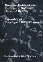 Assembly of Enveloped RNA Viruses