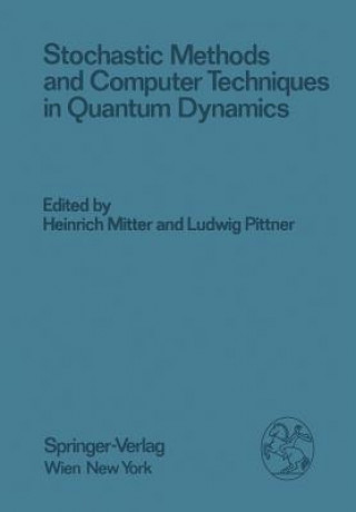 Stochastic Methods and Computer Techniques in Quantum Dynamics