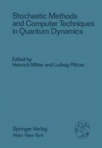 Stochastic Methods and Computer Techniques in Quantum Dynamics