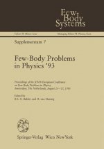 Few-Body Problems in Physics '93