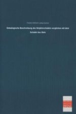 Osteologische Beschreibung des Delphinschädels verglichen mit dem Schädel des Wals
