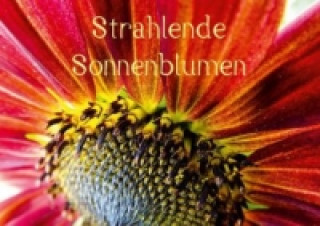 Strahlende Sonnenblumen (Posterbuch DIN A4 quer)