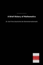 A Brief History of Mathematics