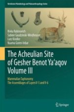 Acheulian Site of Gesher Benot  Ya'aqov  Volume III