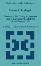 Parametric Lie Group Actions on Global Generalised Solutions of Nonlinear PDEs