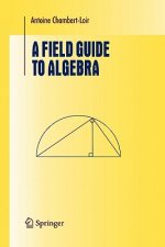 A Field Guide to Algebra