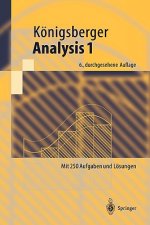 Analysis 1. Bd.1