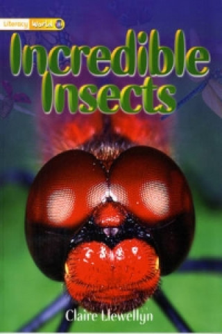 Literacy World Stage 1 Non-Fiction: Incredible Insects (6 Pa