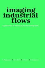 Imaging Industrial Flows