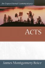 Acts - An Expositional Commentary