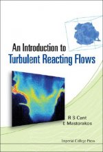 Introduction To Turbulent Reacting Flows, An