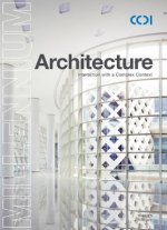 CCDI Architecture: Interaction with a Complex Context