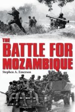 Battle for Mozambique