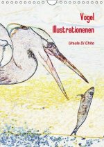Vogel Illustrationen (Wandkalender immerwährend DIN A4 hoch)