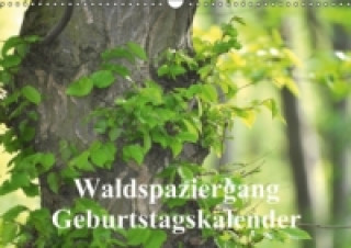 Waldspaziergang/Geburtstagskalender (Wandkalender immerwährend DIN A3 quer)