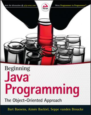 Beginning Java Programming - The Object-Oriented Approach