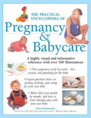 Practical Encyclopedia of Pregnancy & Babycare