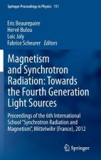 Magnetism and Synchrotron Radiation: Towards the Fourth Generation Light Sources