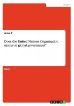 Does the United Nations Organization matter in global governance?