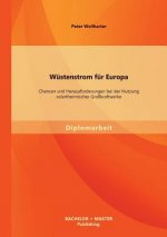Wustenstrom fur Europa