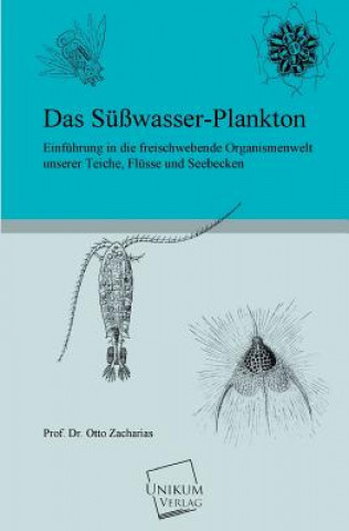 Susswasser-Plankton