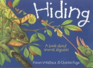 Wonderwise: Hiding: A book about animal disguises