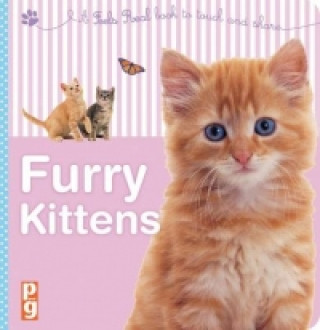 Feels Real!: Furry Kittens