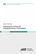 Radarbasierte Analyse der Hagelgefahrdung in Deutschland