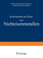Korrosionen an Eisen Und Nichteisenmetallen