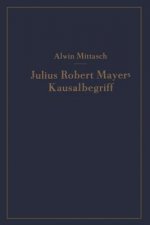 Julius Robert Mayers Kausalbegriff