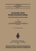 Agnosie Und Funktionswandel