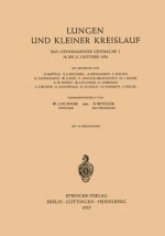Lungen Und Kleiner Kreislauf