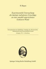 Experimentelle Untersuchung Des Laminar-Turbulenten Umschlags an Einer Parallel Angestr mten Konkaven Wand
