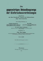 Die Gegenw rtigen Behandlungswege Der Kieferschussverletzungen