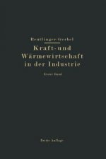 Kraft- Und W rmewirtschaft in Der Industrie