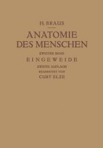 Anatomie Des Menschen