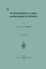 Die Wirtschaftlichkeit Von Nebenproduktenanlagen F r Kraftwerke