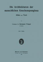 Die Architekturen Der Menschlichen Knochenspongiosa