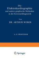 Elektrokardiographie Und Andere Graphische Methoden in Der Kreislaufdiagnostik