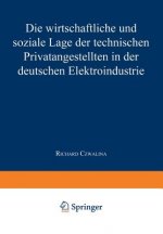 Wirtschaftliche Und Soziale Lage Der Technischen Privatangestellten in Der Deutschen Elektroindustrie