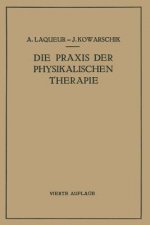 Die Praxis Der Physikalischen Therapie