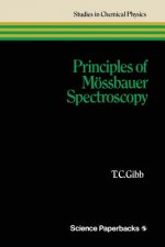 Principles of Moessbauer Spectroscopy