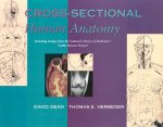 Cross Sectional Human Anatomy